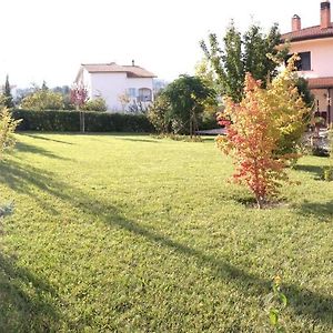 Cherry House Bed&Breakfast